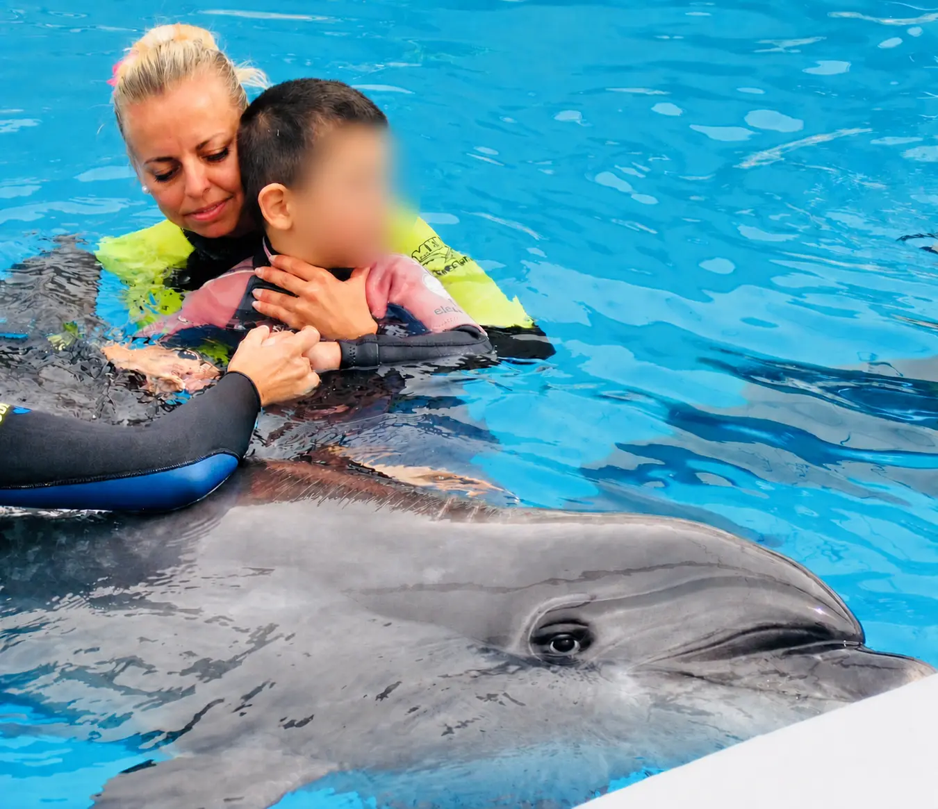 Ein Junge streichelt liebevoll einen Delfin während der Therapie